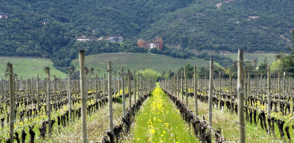 Clos Apalta Residence Relais & Chateaux Santa Cruz Dış mekan fotoğraf